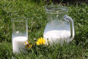 milk-1377564_960_720 Milch - Lacona Ihr Exoperte für den Transport
